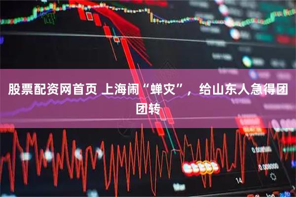 股票配资网首页 上海闹“蝉灾”，给山东人急得团团转
